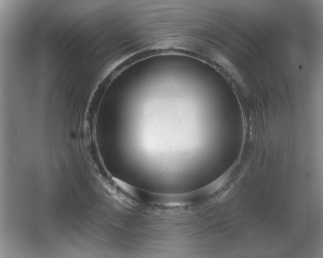 X0000068260876200604241229