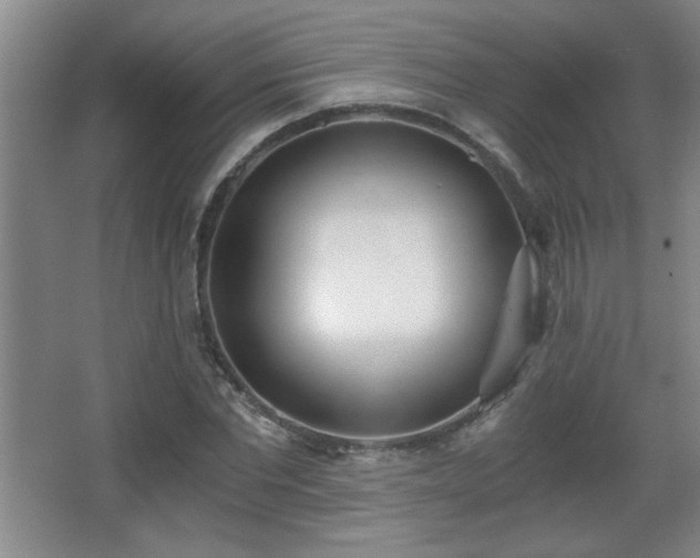 X0000068260877200604241229