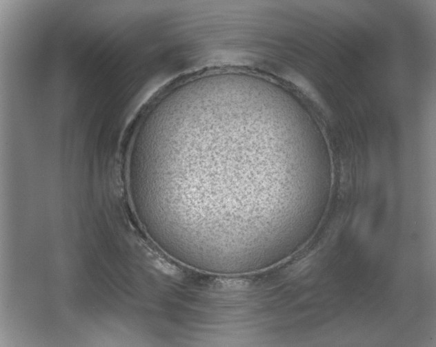 X0000068260878200604241229