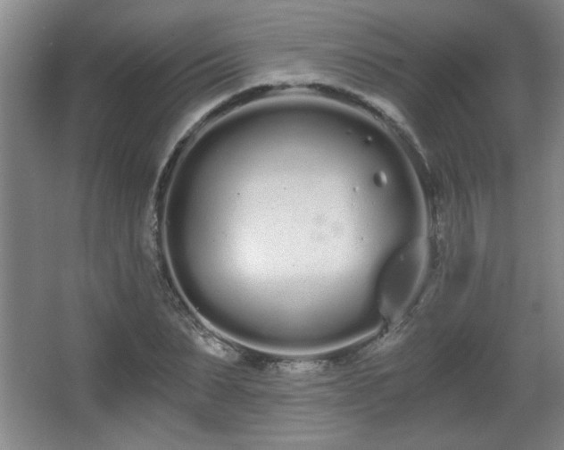 X0000068260879200604241229