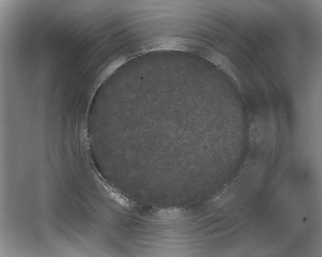 X0000068260882200604241229