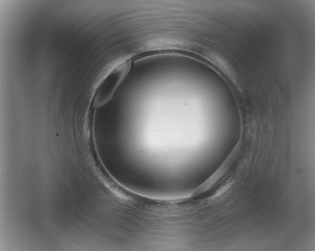 X0000068260885200604241229