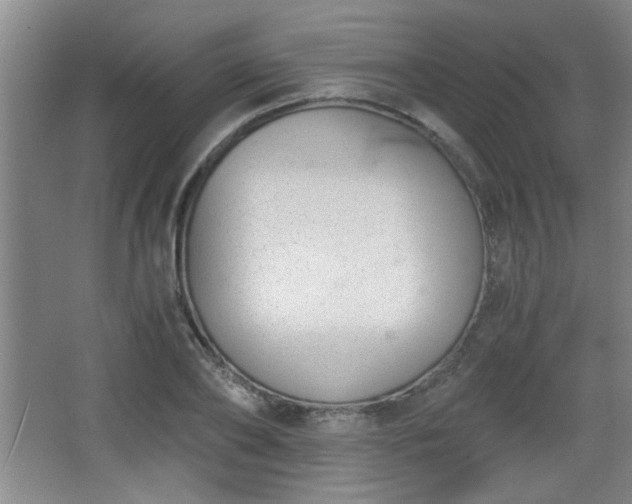 X0000068260886200604241229