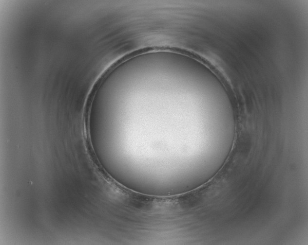 X0000068260887200604241229