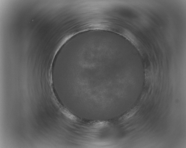 X0000068260891200604241229