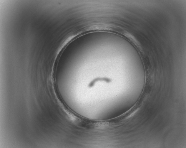 X0000068260893200604241229