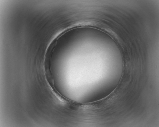 X0000068260894200604241229