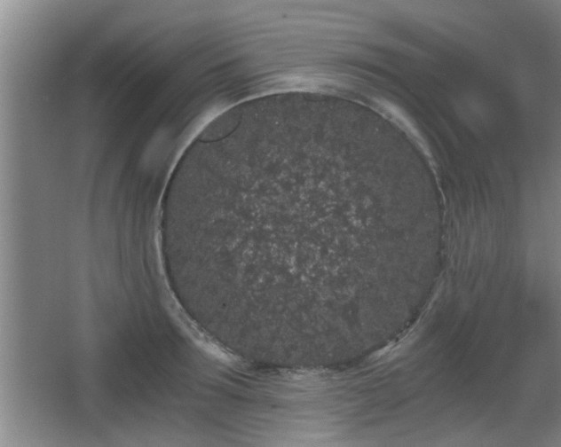 X0000068260899200604241228