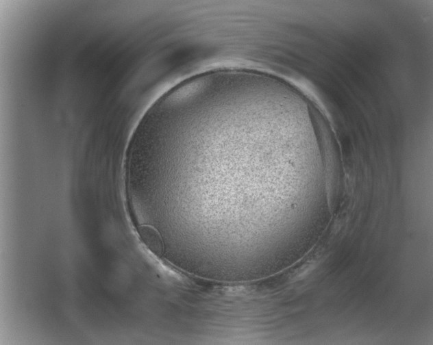 X0000068260903200604241228