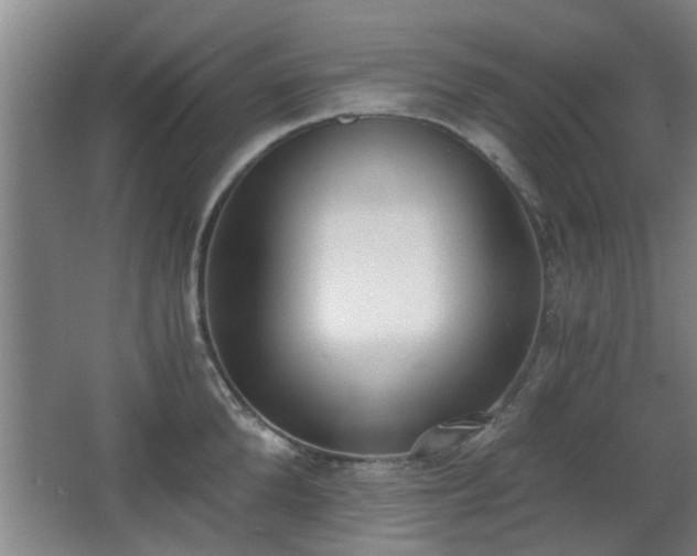 X0000068260904200604241228