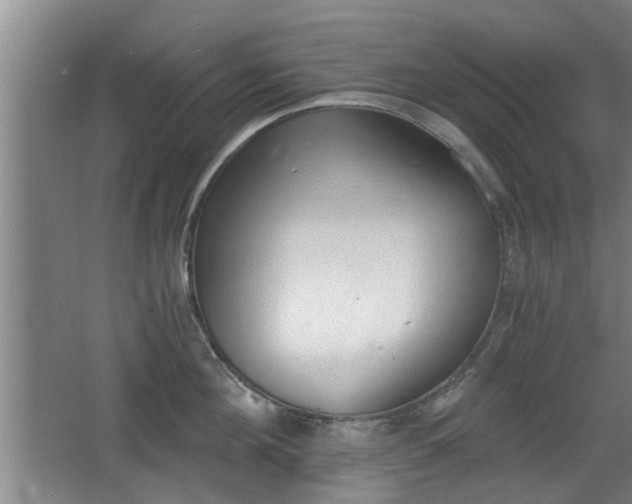 X0000068260908200604241228