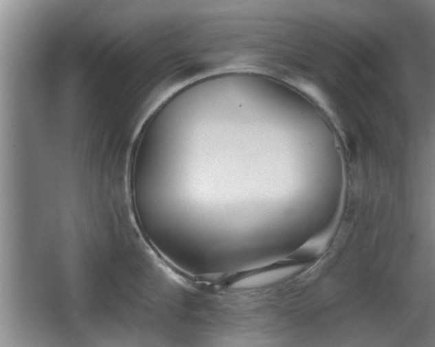 X0000068260910200604241228