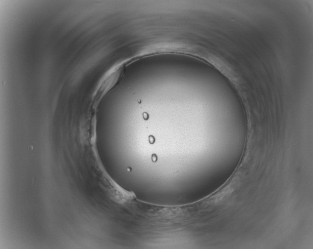 X0000068260912200604241228