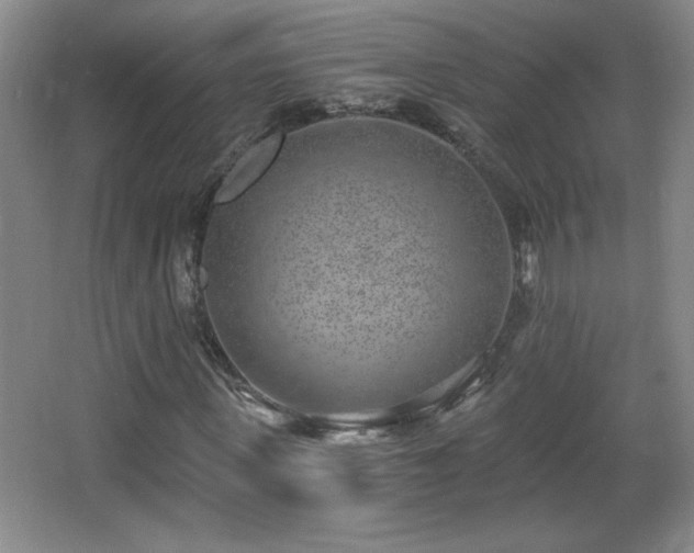 X0000068260915200604241227