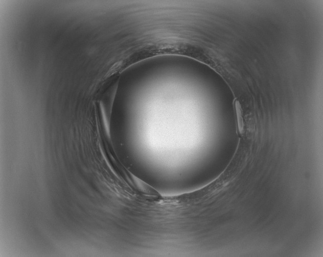 X0000068260916200604241227