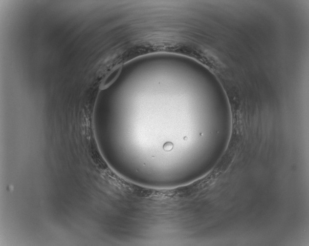 X0000068260917200604241227