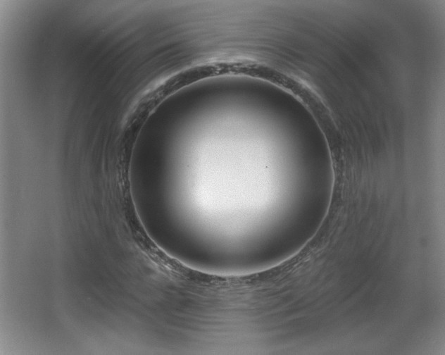 X0000068260920200604241228