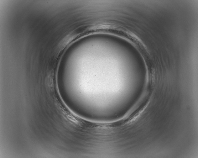 X0000068260921200604241228