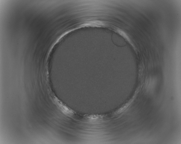 X0000068260923200604241228