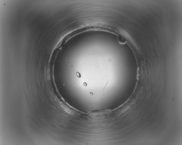 X0000068260924200604241228