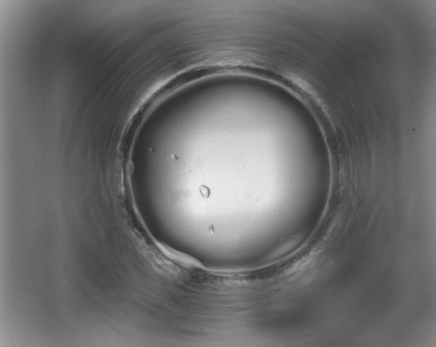 X0000068260925200604241228