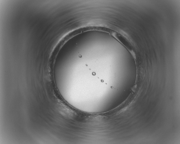 X0000068260926200604241228