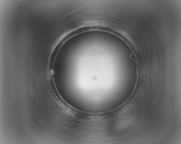 X0000068260927200604241228