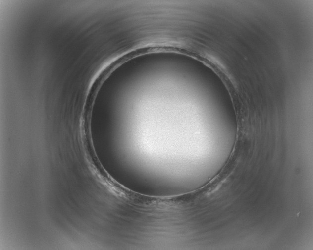 X0000068260928200604241228