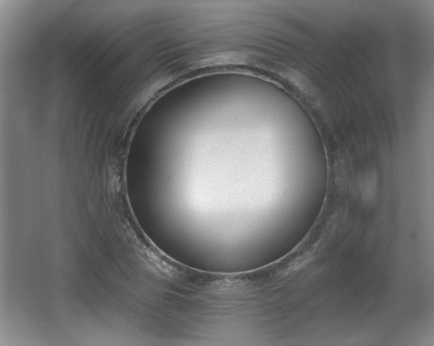 X0000068260929200604241228