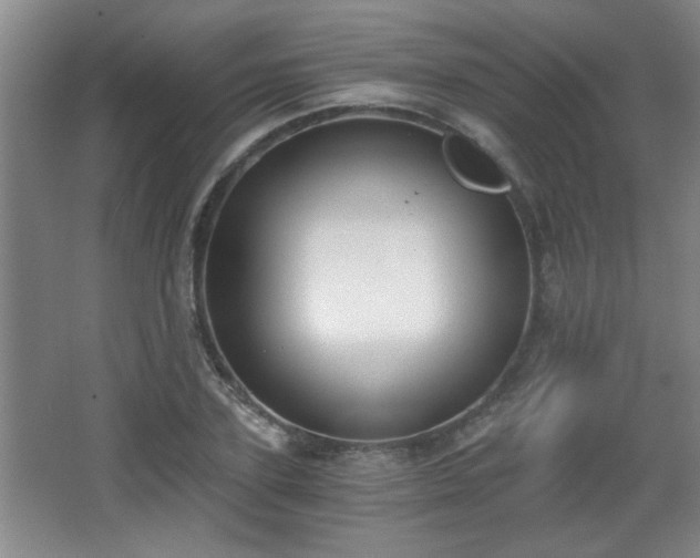 X0000068260931200604241228