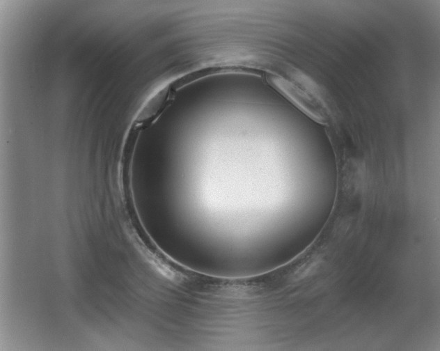 X0000068260932200604241228