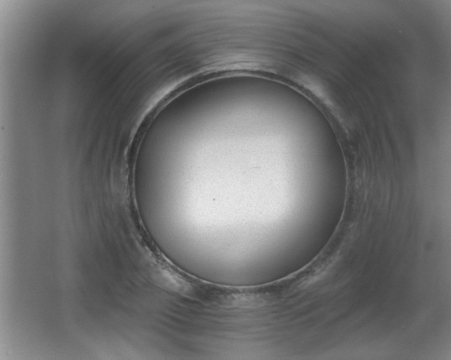 X0000068260933200604241228