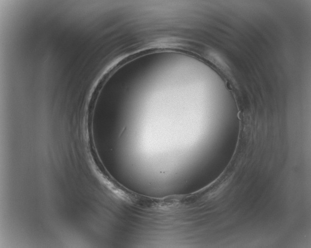 X0000068260939200604241228