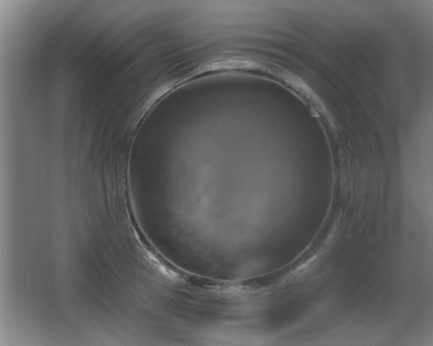 X0000068260945200604241228