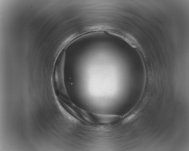 X0000068260946200604241228