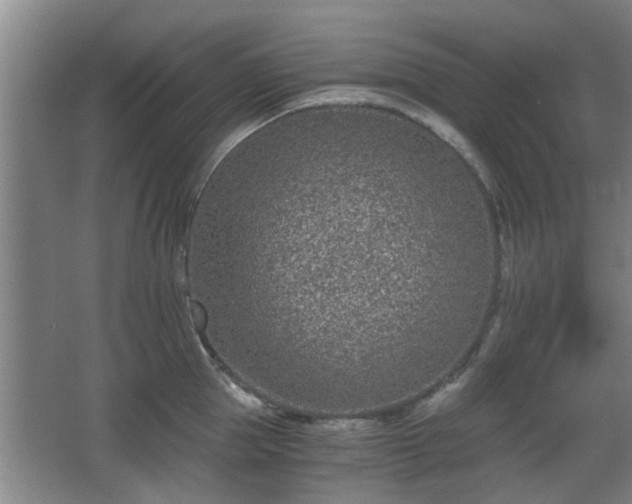 X0000068260953200604241228