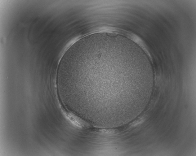 X0000068260954200604241228