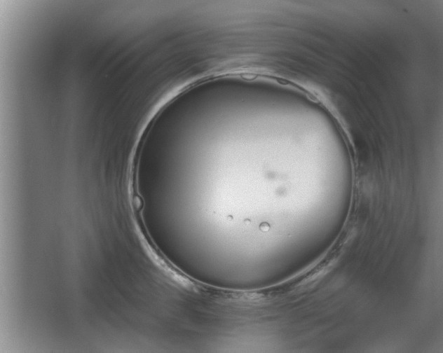 X0000068260957200604241228