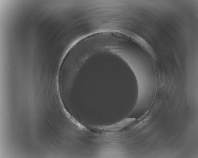 X0000068260958200604241228