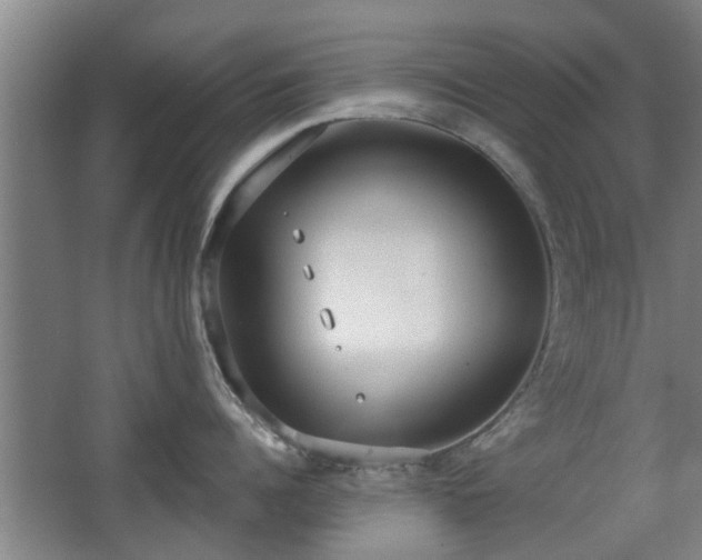 X0000068260960200604241228