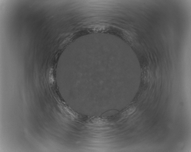 X0000068260962200604241227