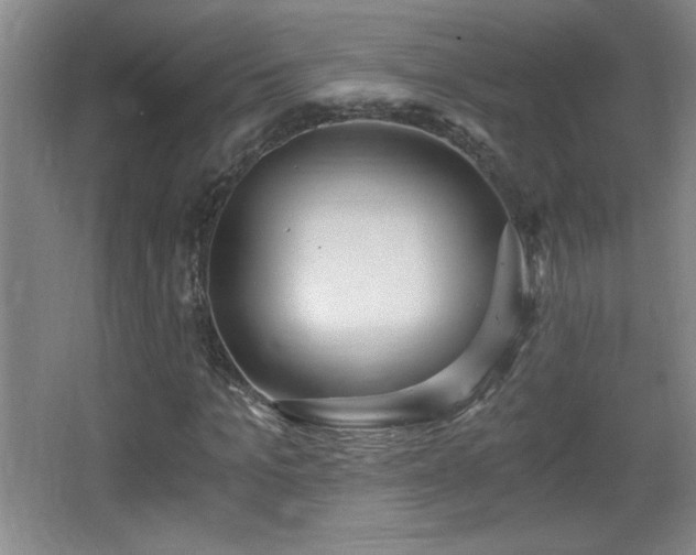 X0000068260965200604241227