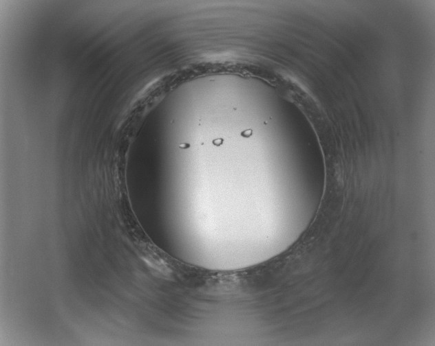 X0000068260968200604241227