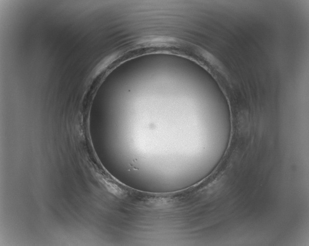 X0000068260970200604241227