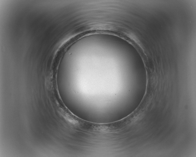 X0000068260971200604241227