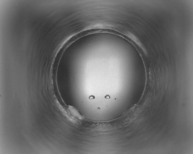 X0000068260972200604241227