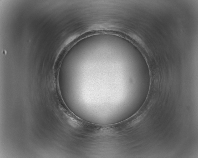 X0000068260974200604241227