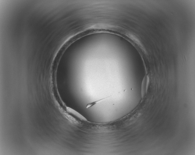 X0000068260976200604241227