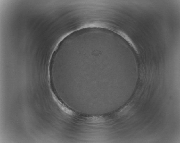 X0000068260980200604241227