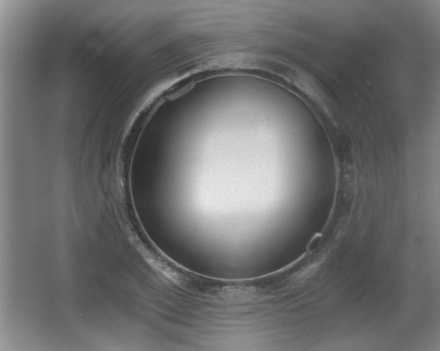 X0000068260981200604241227